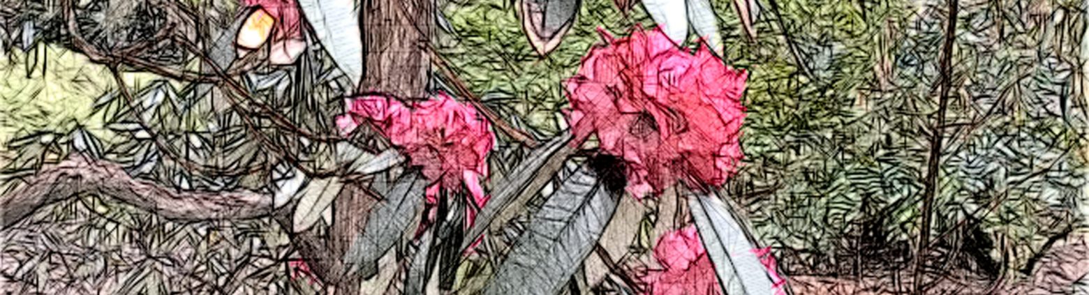 La falacia de los productos “detox”